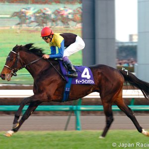 My favorite racehorse: Deep Impact | Topics: My favorite racehorse